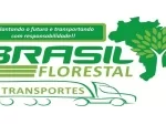 brasil florestal e transportes