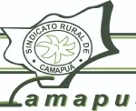 sindicato rural de camapuã