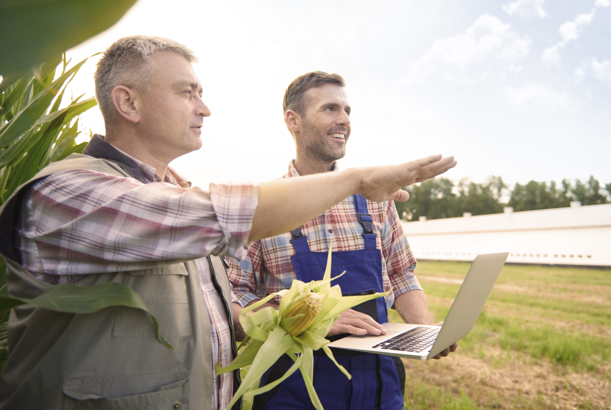 A gestão do agronegócio é essencial para o empresário rural que deseja aumentar a lucratividade e ter melhor posicionamento de marca