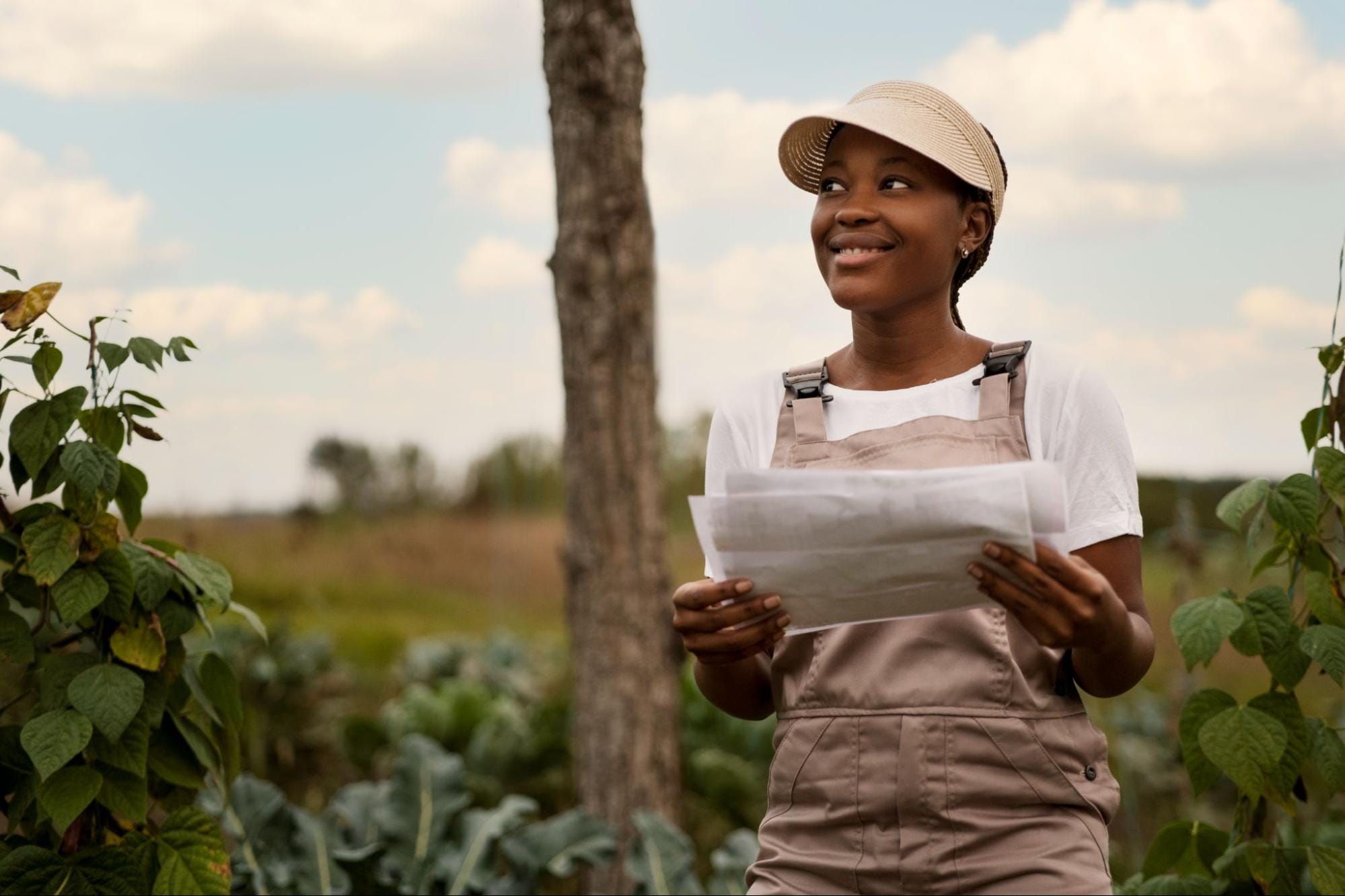 MDFe para produtor rural